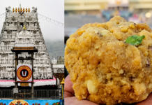 తిరుమల లడ్డూ కల్తీపై యాక్షన్ ప్లాన్ Tirupathi Laddu