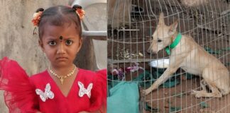 నీరు పల్లమెరుగు… నిజం దేవుడెరుగు