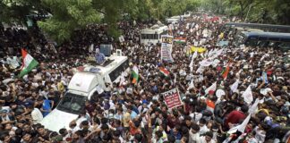 కాక్రోచ్ల ముట్టడి.. దద్దరిల్లిన ఢిల్లీ… సీజేపీ మార్చ్ అడ్డుకున్న పోలీసులు!