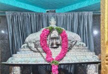 తొలి ఏకాదశి వేడుకలకు శ్రీ అగస్త్యేశ్వర ఆలయం ముస్తాబు