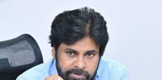 వేగంగా గ్రేట్ గ్రీన్ వాల్ రెండు నెలలు టార్గెట్ హరితాంధ్రపై పవన్ ఫోకస్