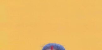 భూములపై కవిత సంచలన సవాల్
