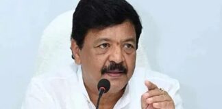 స్థానిక ఎన్నికలకు జనసేన వ్యూహం