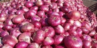 కిలో రూ. 35కే ఉల్లి ఘాటుకు సబ్సిడీ మందు