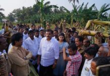 అందుకే కరువు వచ్చింది రైతుల కష్టాలకు కూటమే కారణం