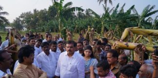 అందుకే కరువు వచ్చింది రైతుల కష్టాలకు కూటమే కారణం