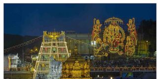 బ్రహ్మోత్సవాల వేళ శ్రీవారి దర్శనం